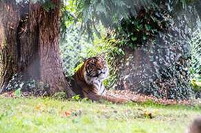 Paignton Zoo
